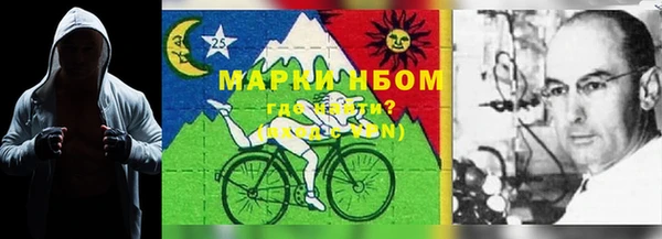 дмт Абаза