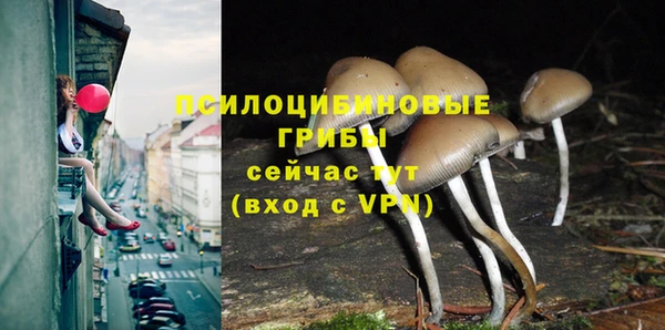 а пвп мука Абинск